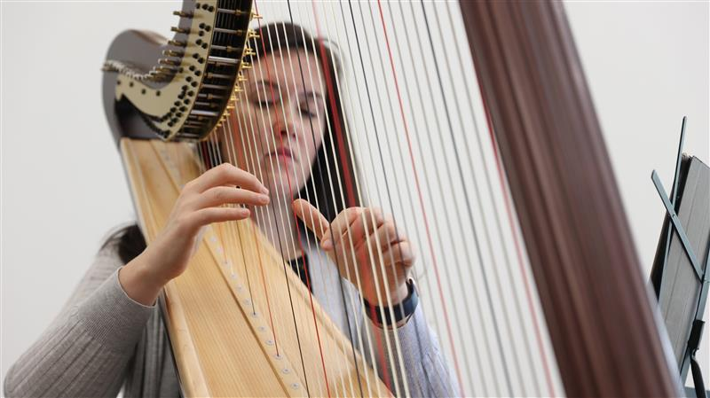 lauren lewandowski harpist