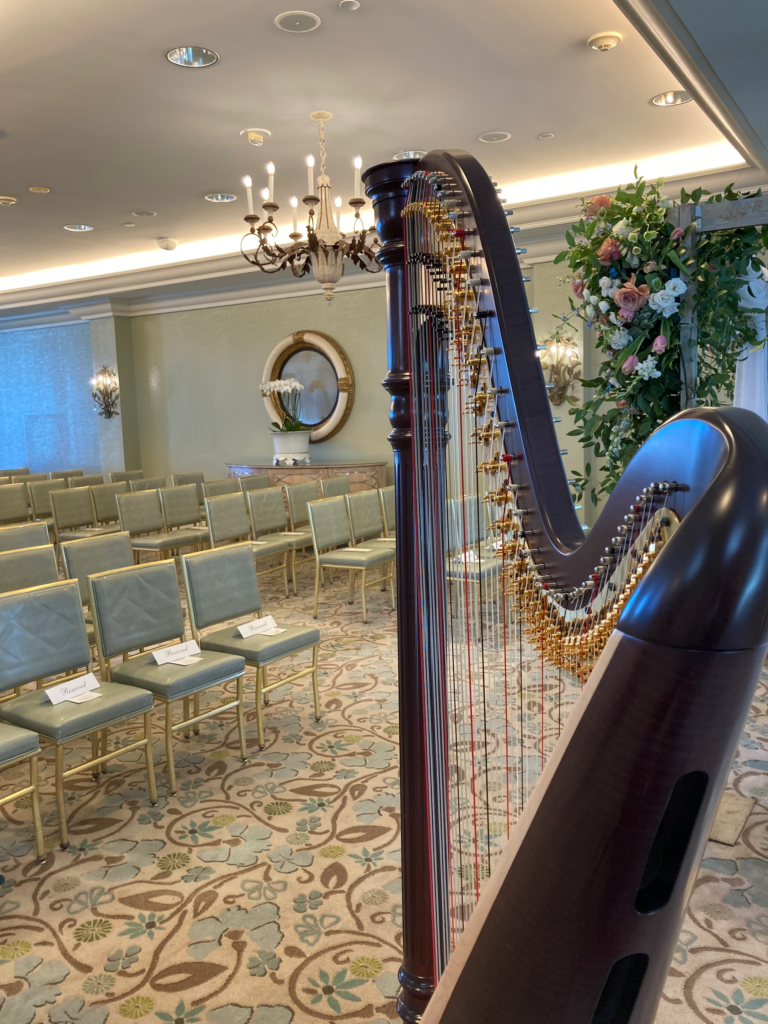 lauren lewandowski harpist